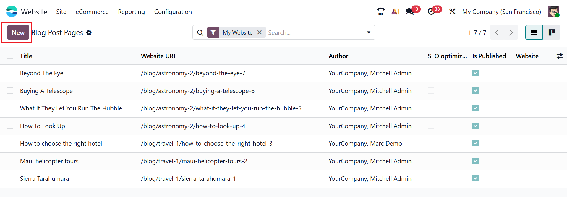 Odoo 19 Project