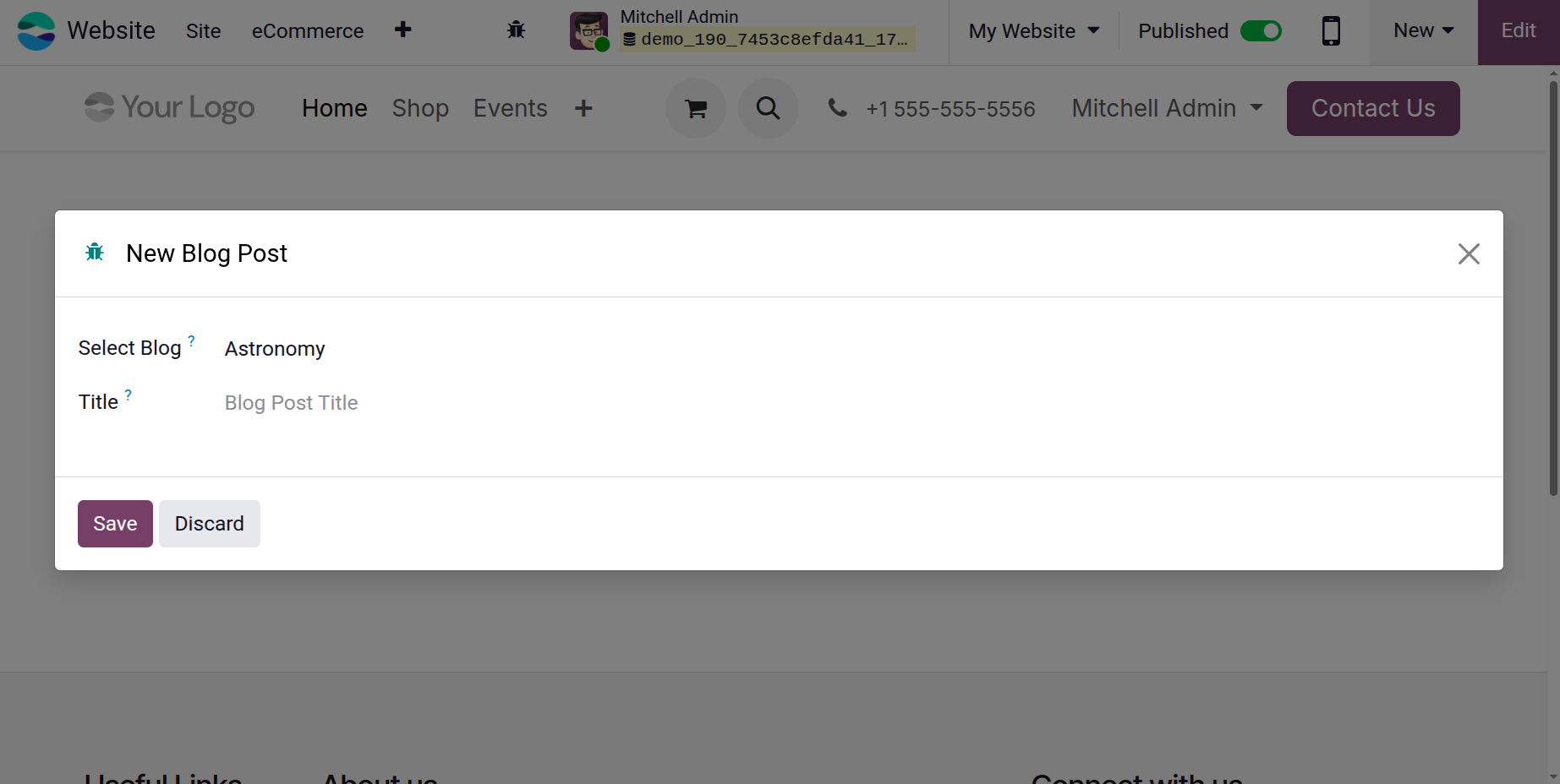 Odoo 19 Project