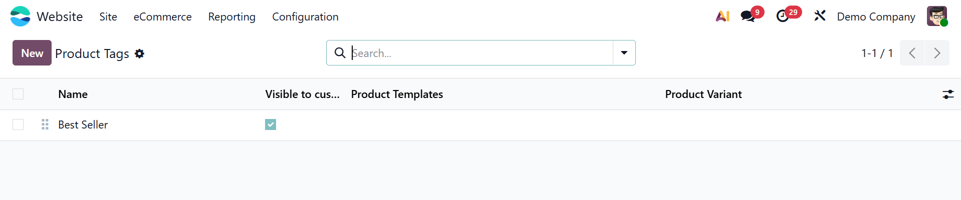 Odoo 19 Project