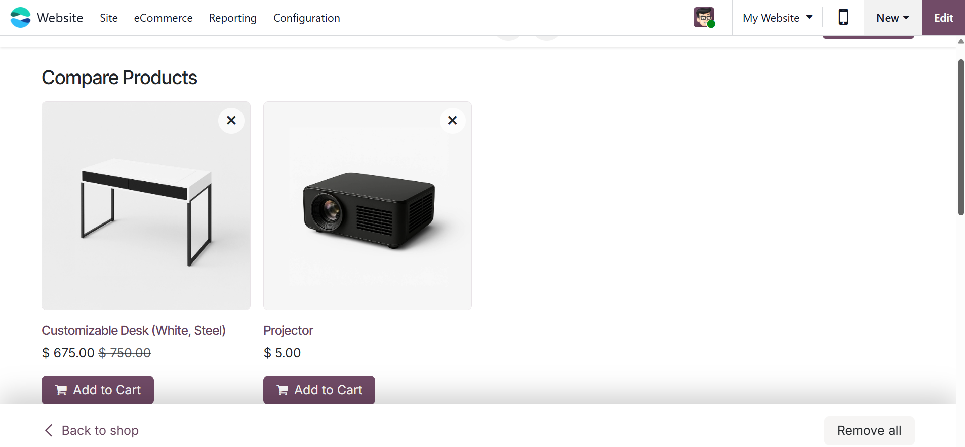 Odoo 19 Project