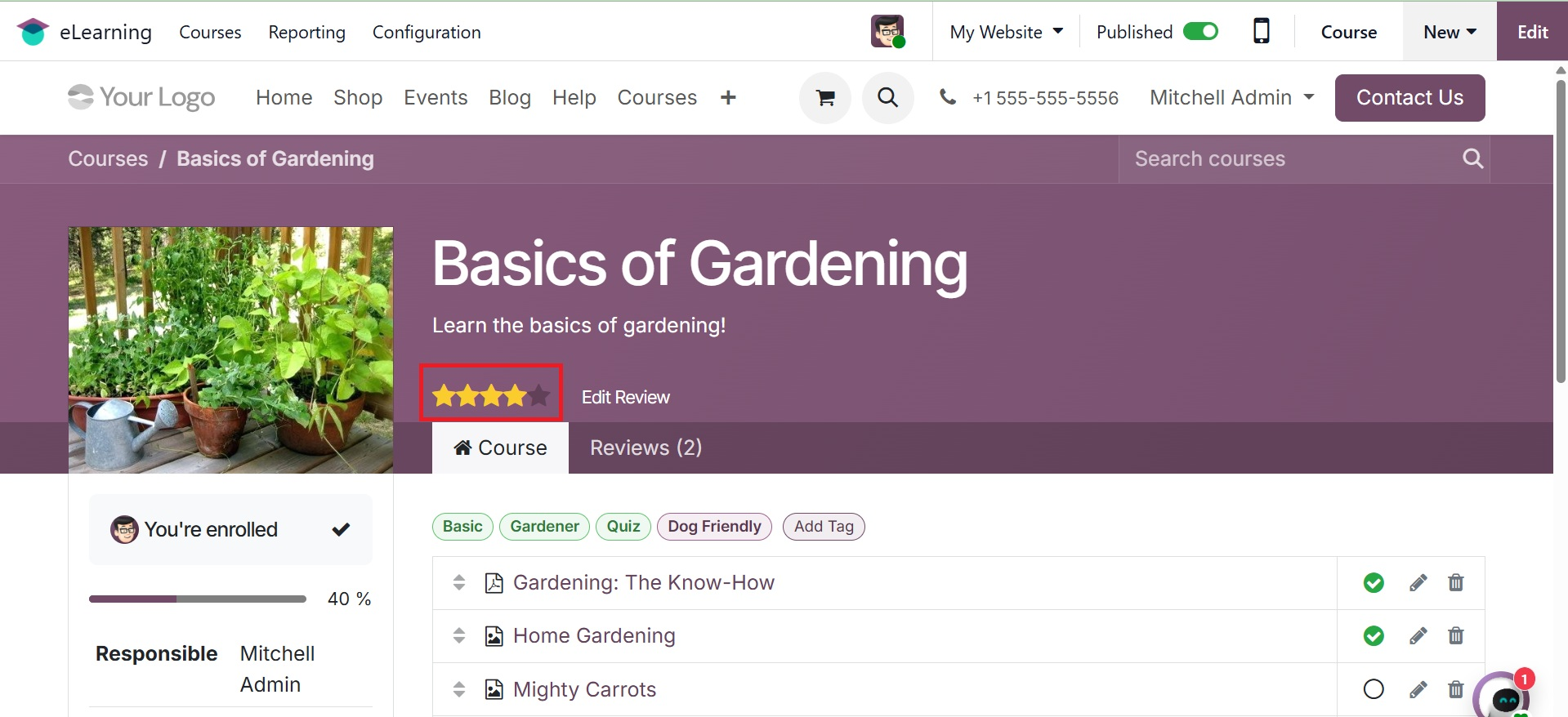 Odoo 19 Project