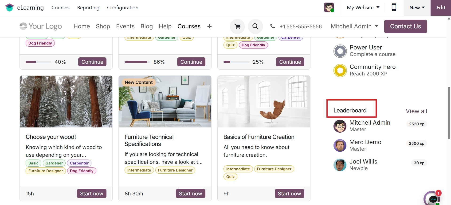 Odoo 19 Project