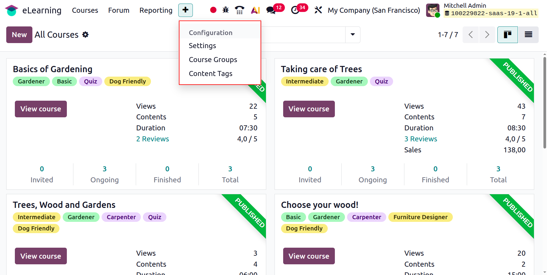 Odoo 19 Project