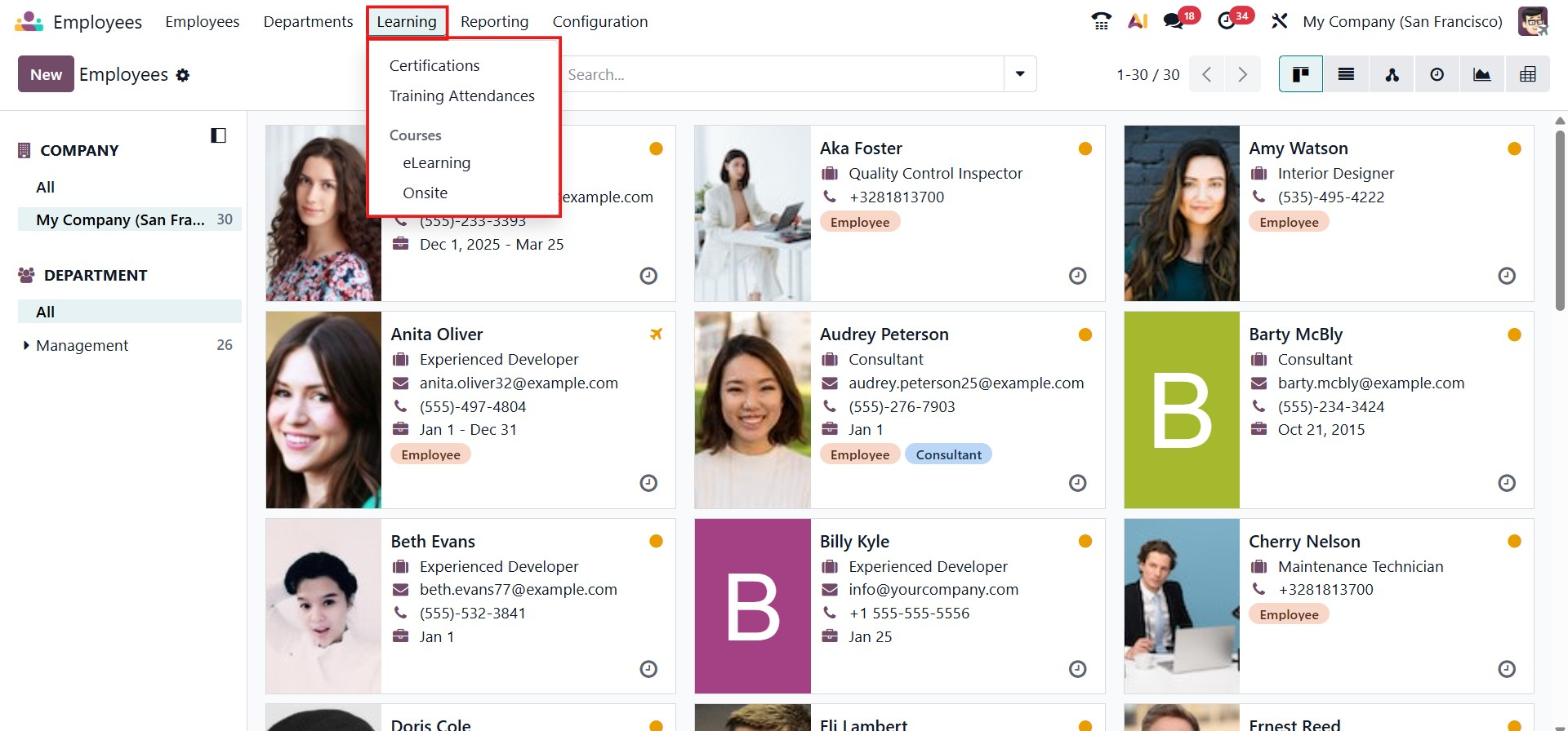Odoo 19 Project