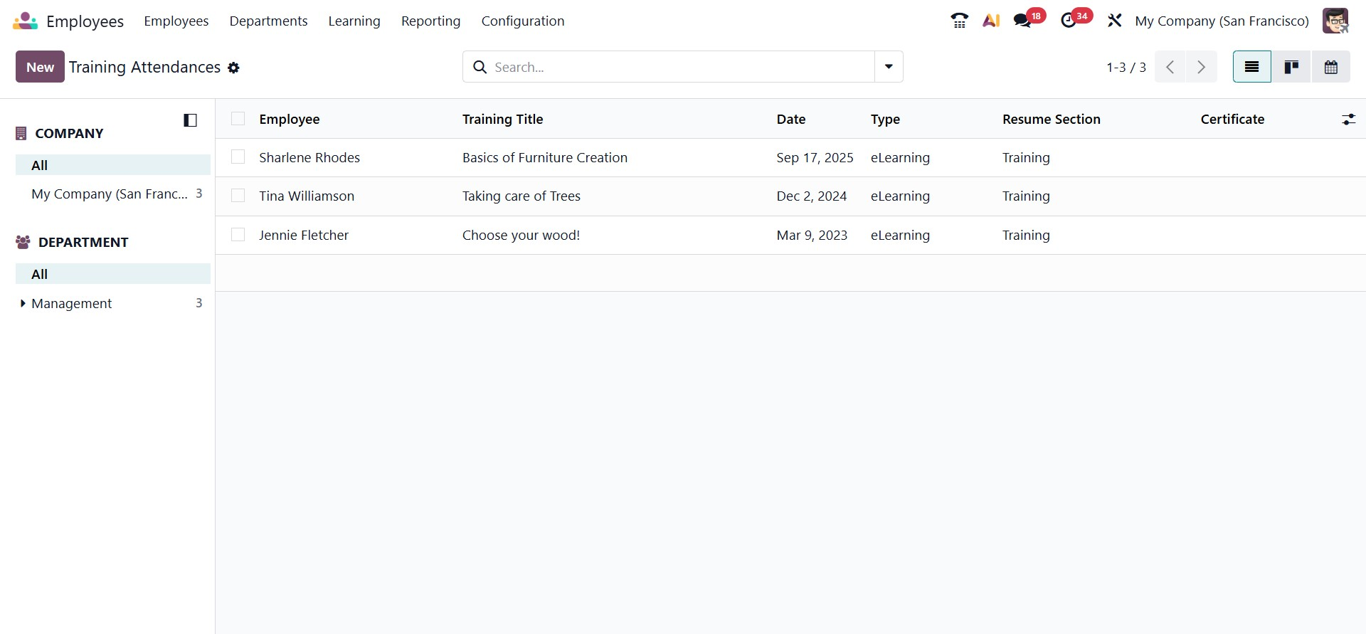 Odoo 19 Project