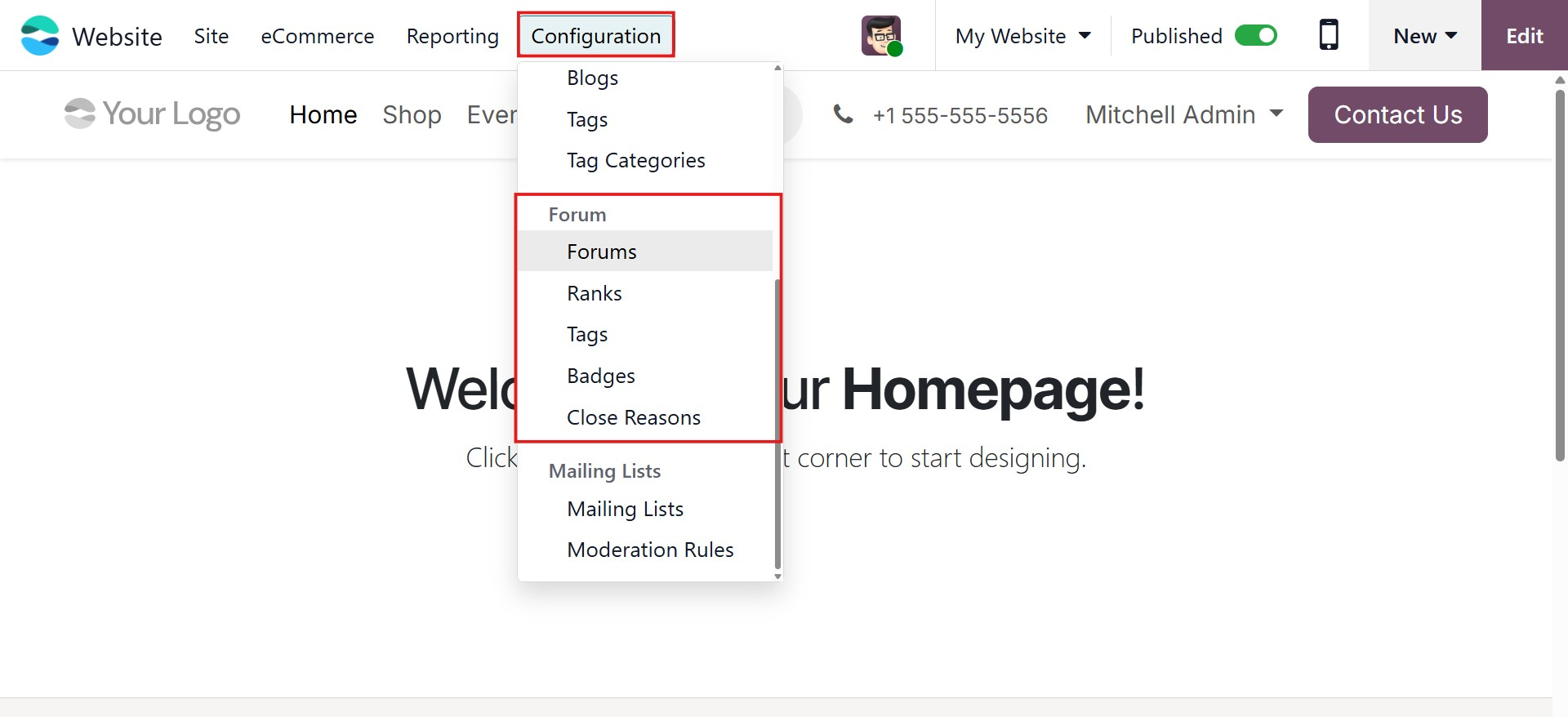 Odoo 19 Project
