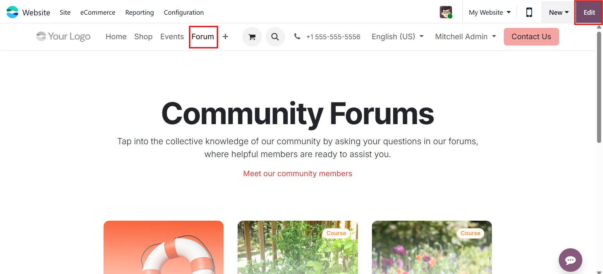 Odoo 19 Project