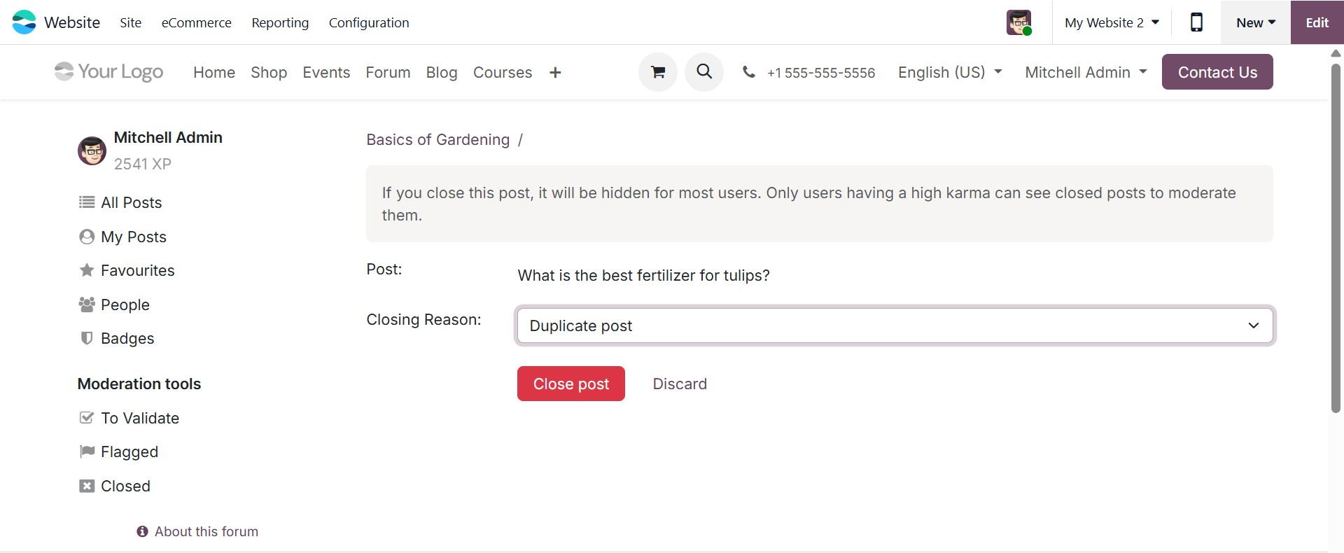 Odoo 19 Project