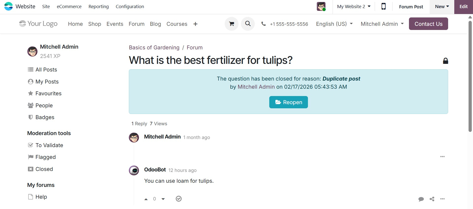 Odoo 19 Project
