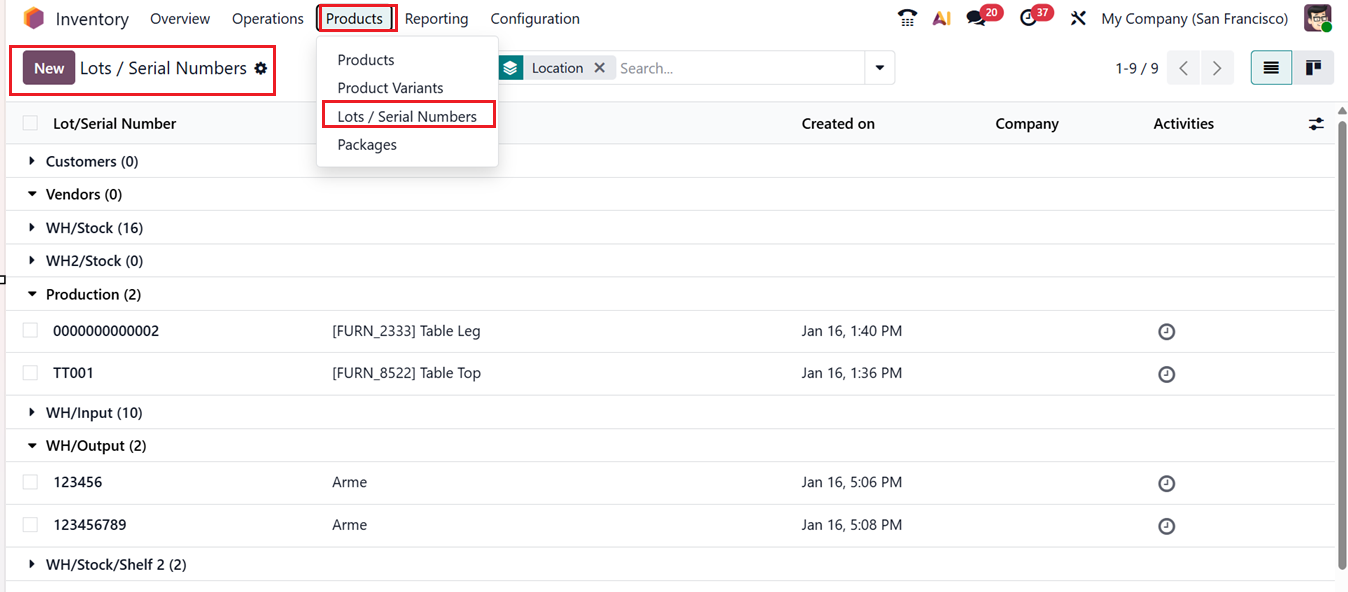 Odoo 19 Project