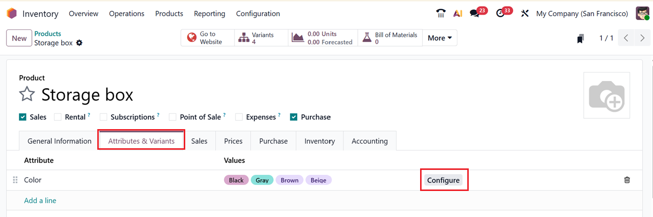 Odoo 19 Project