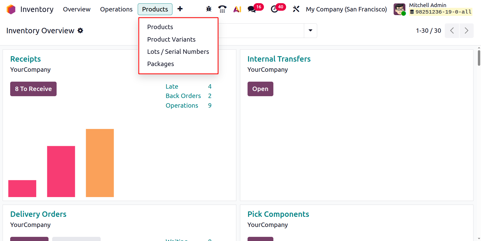 Odoo 19 Project