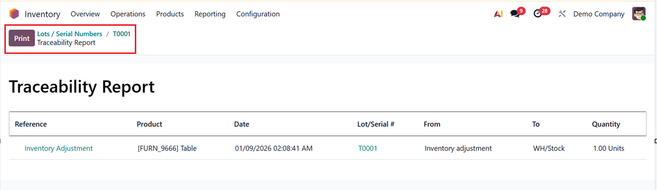 Odoo 19 Project