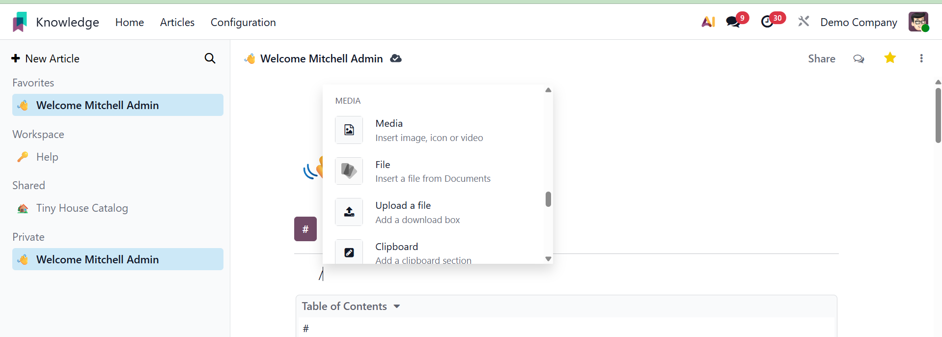 Odoo 19 Project