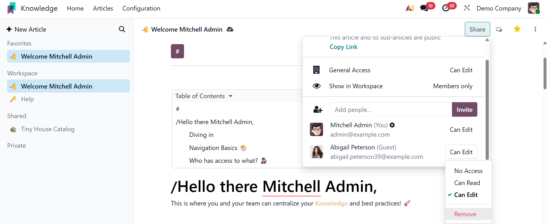 Odoo 19 Project
