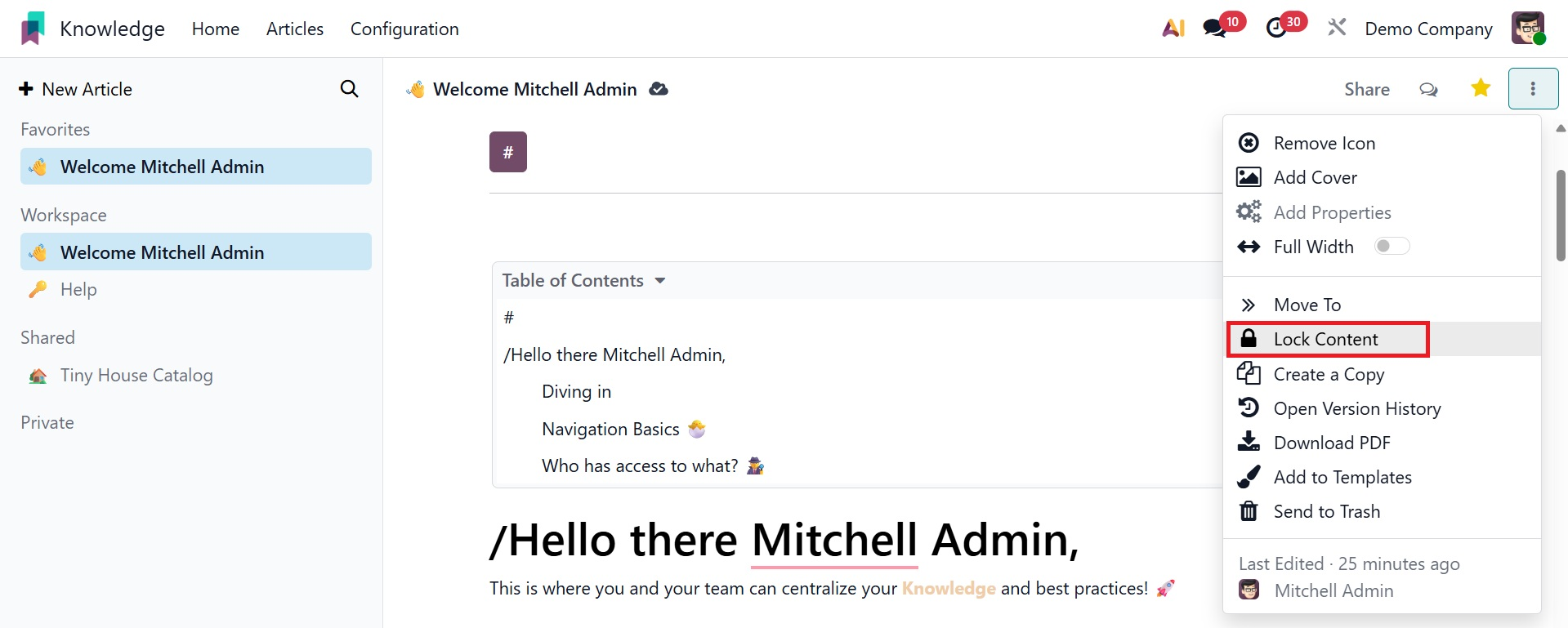 Odoo 19 Project