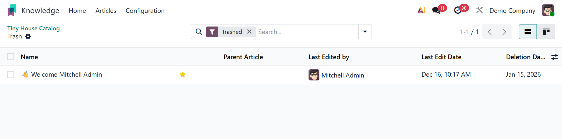 Odoo 19 Project