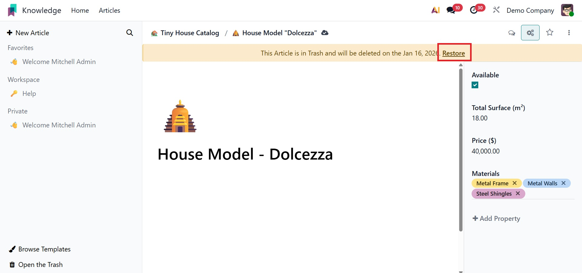 Odoo 19 Project