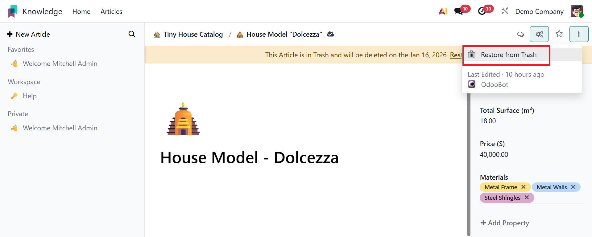 Odoo 19 Project