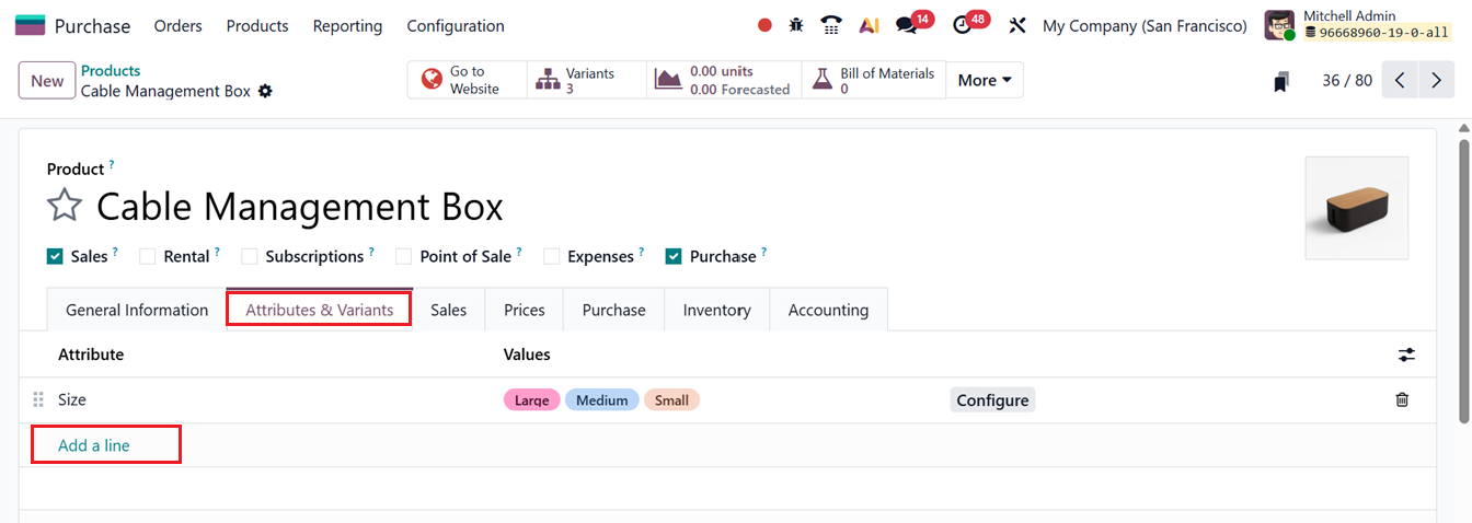 Odoo 19 Project