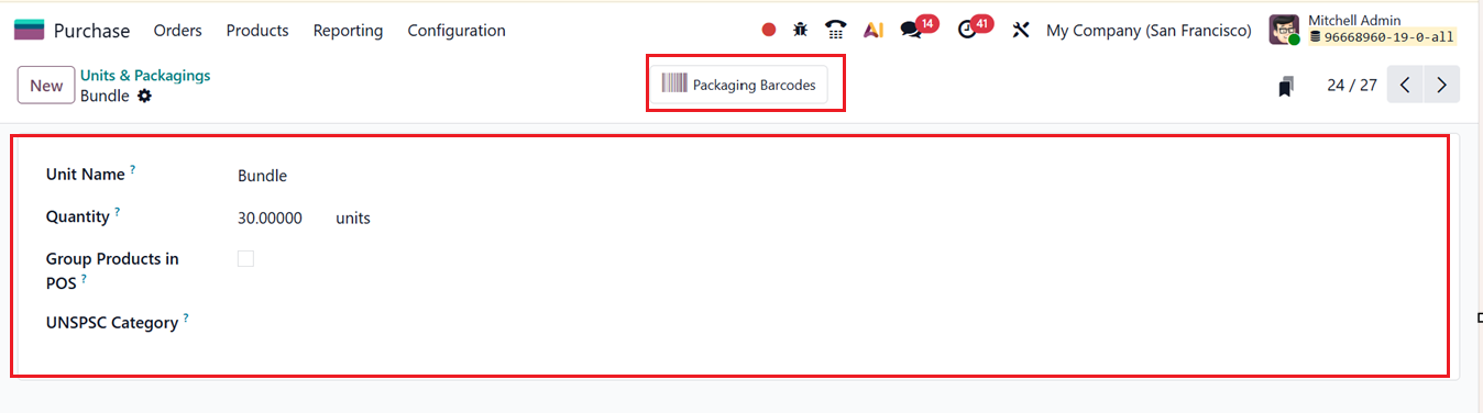 Odoo 19 Project