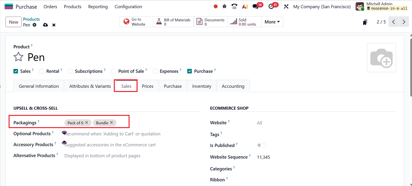 Odoo 19 Project