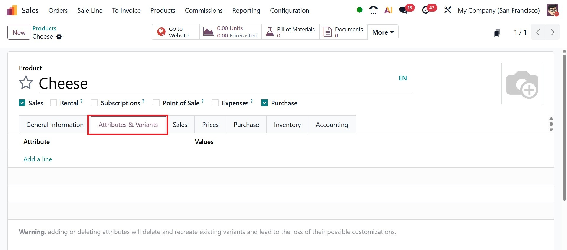 Odoo 19 Project