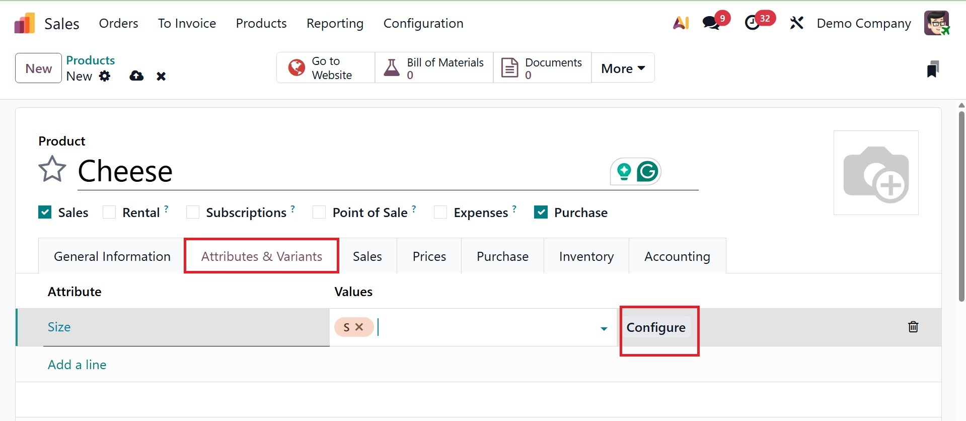 Odoo 19 Project