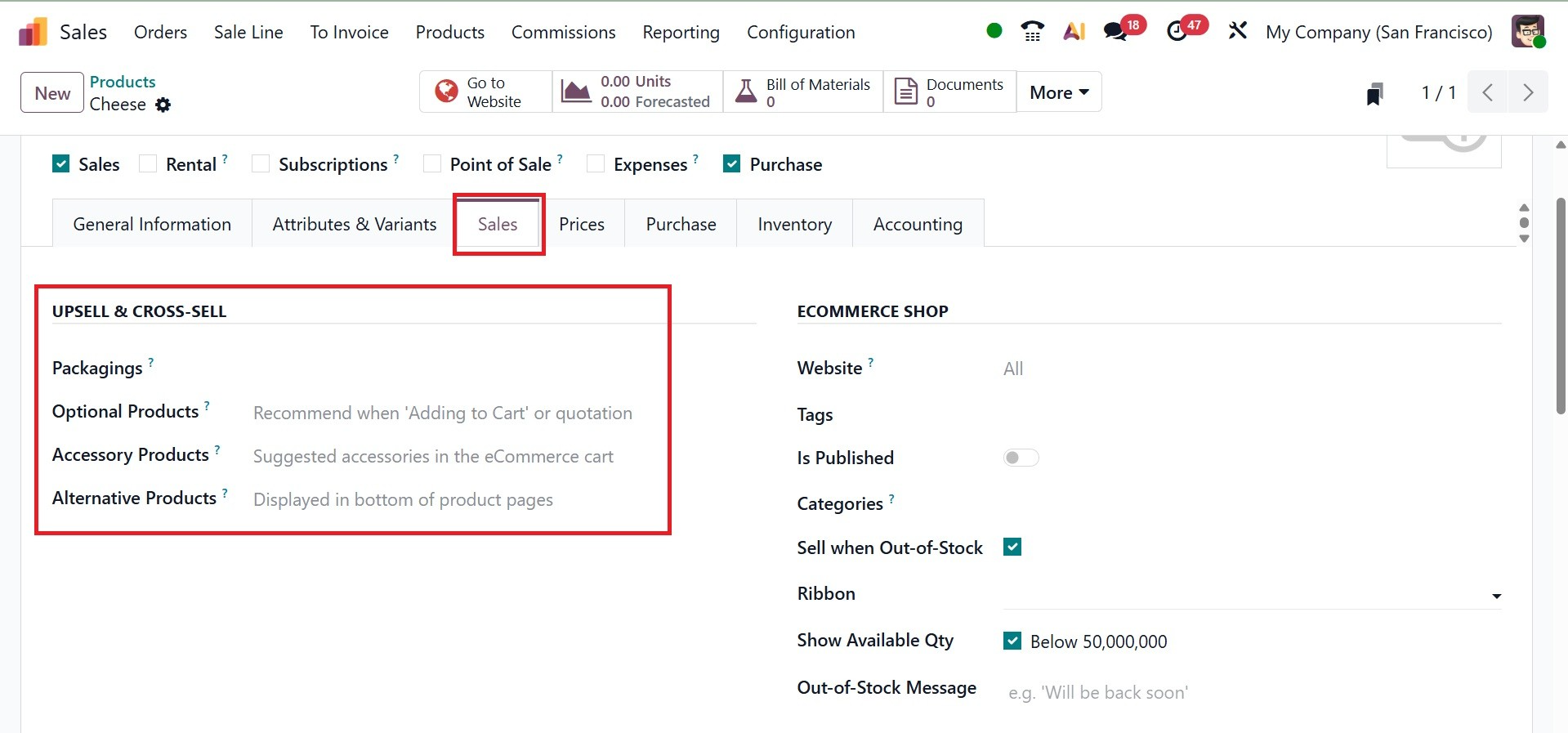 Odoo 19 Project