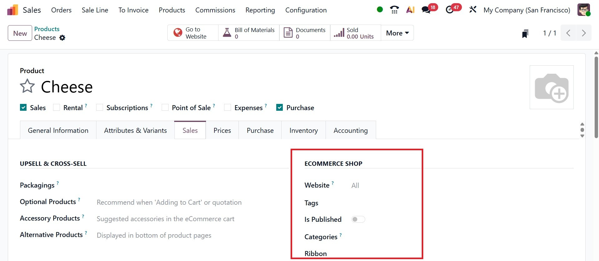 Odoo 19 Project