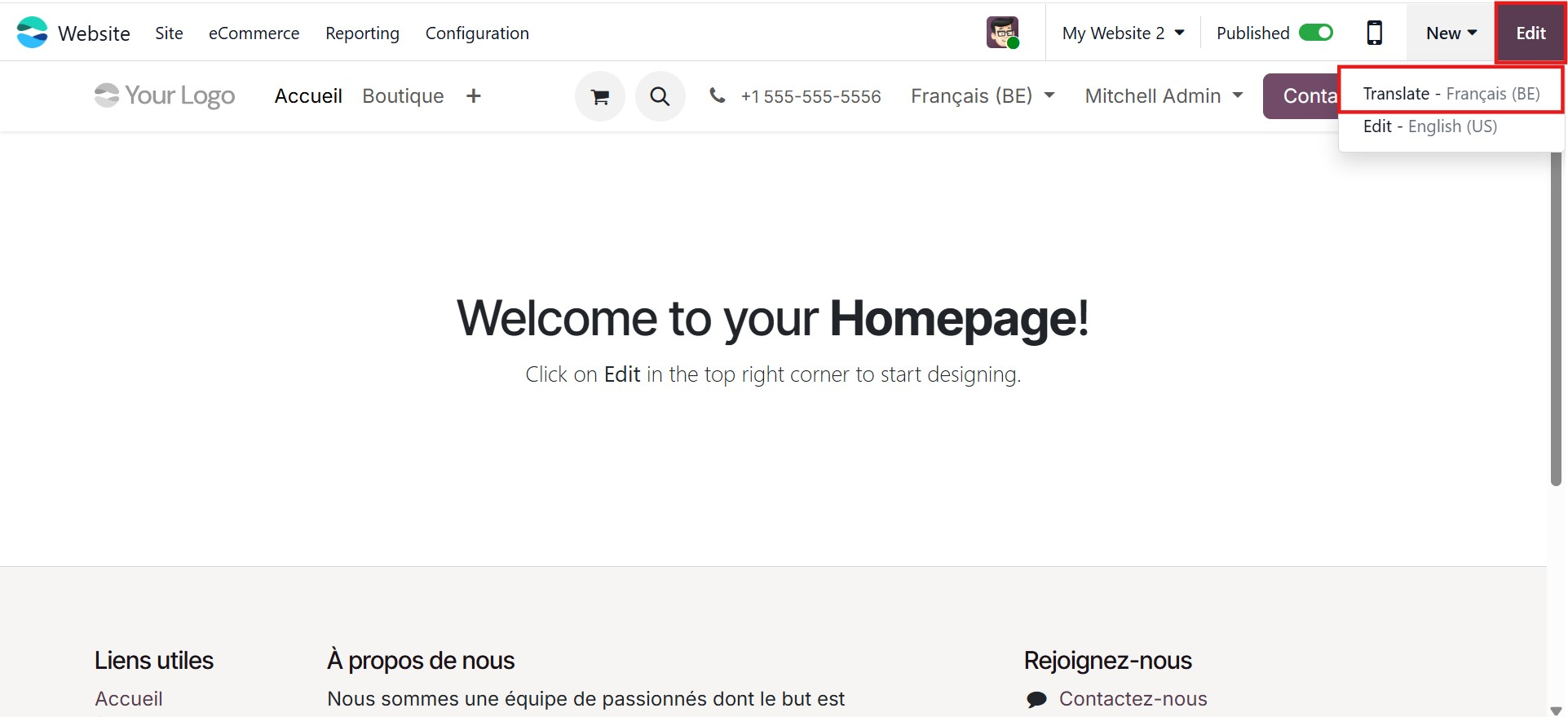 Odoo 19 Project