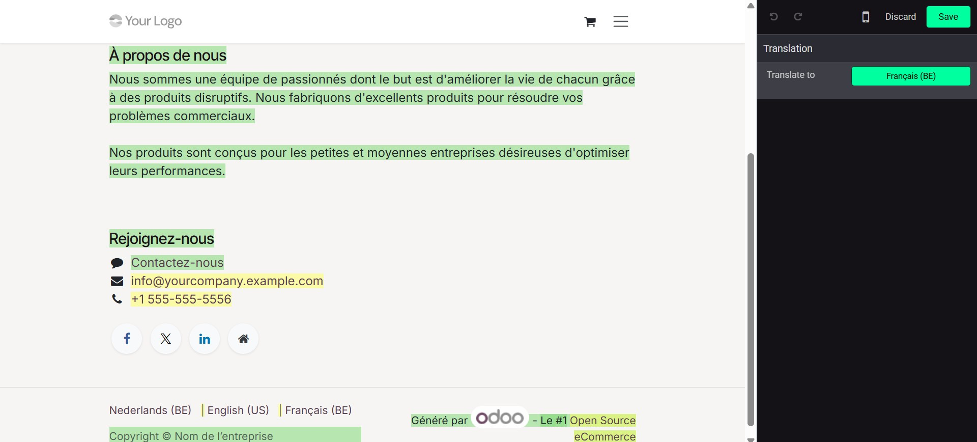 Odoo 19 Project