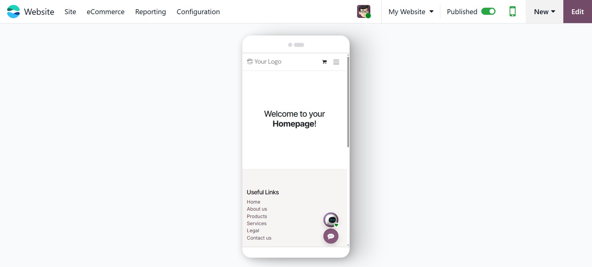 Odoo 19 Project