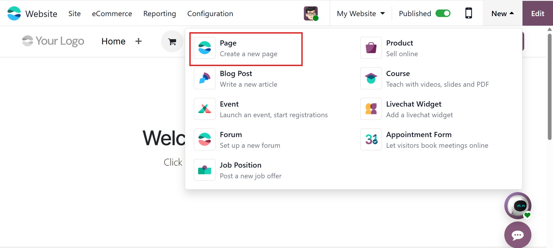 Odoo 19 Project