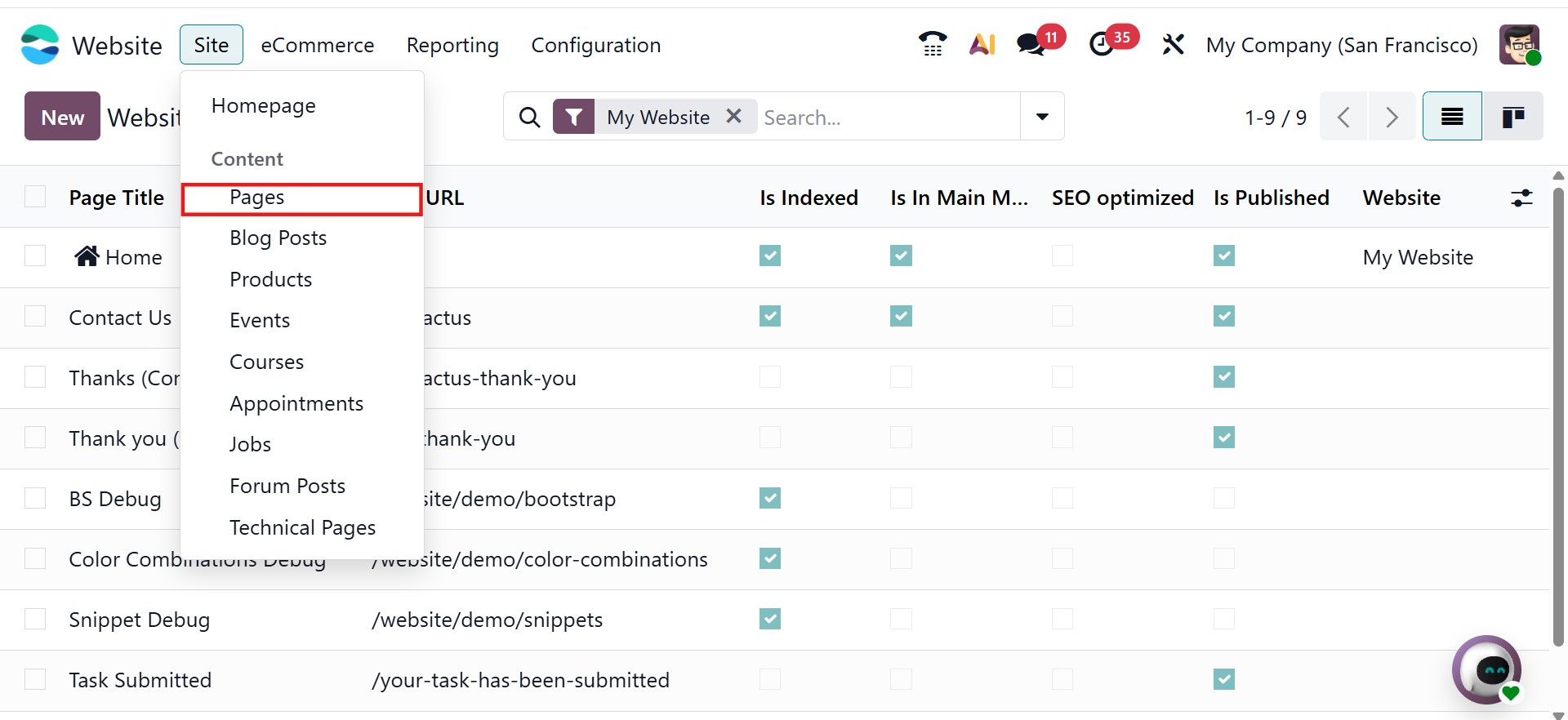 Odoo 19 Project