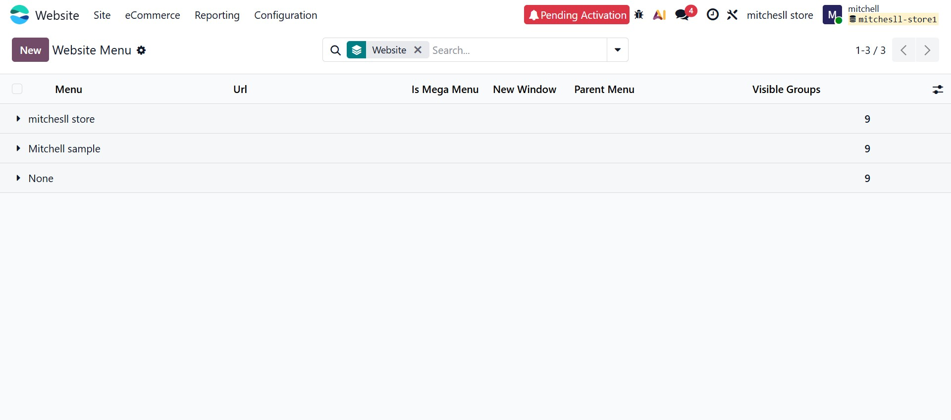 Odoo 19 Project