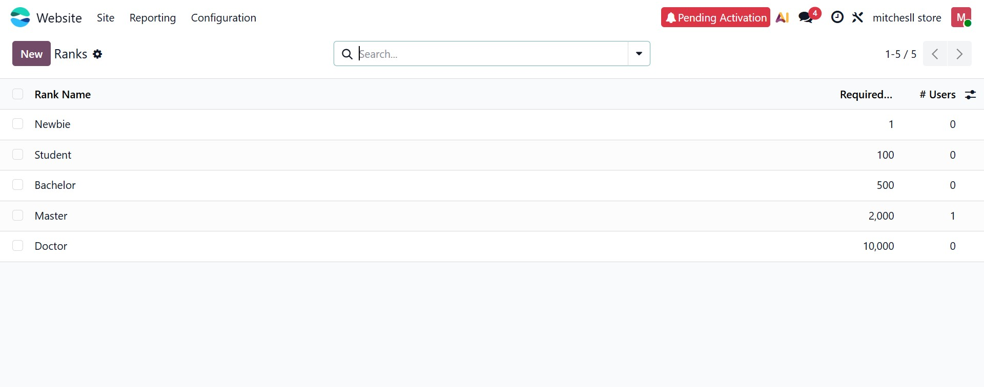 Odoo 19 Project