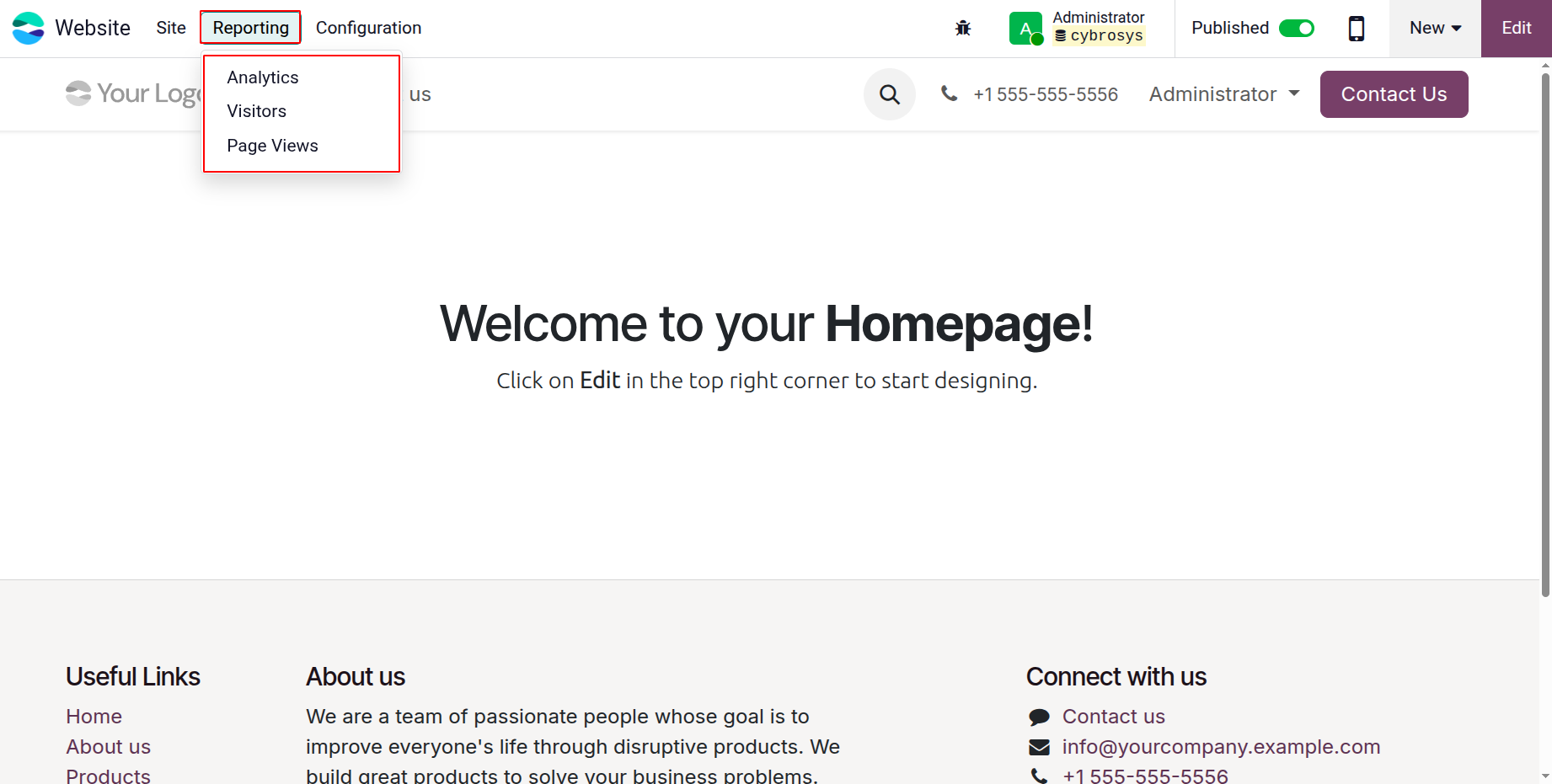 Odoo 19 Project